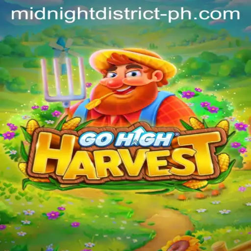 Exploring the Adventure of GoHighHarvest: A Journey Through the Midnight District
